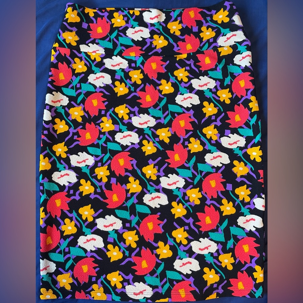 LuLaRoe Floral Cassie Skirt